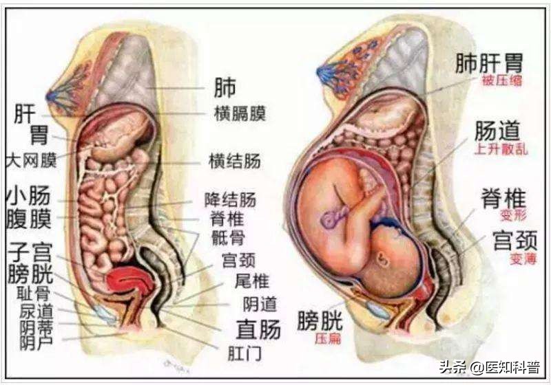 坐月子期间怎样知道身体恢复正常,产后身体的变化科普