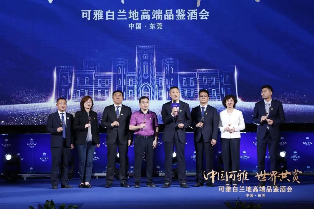 可雅白兰地品鉴,可雅白兰地什么价格及图片