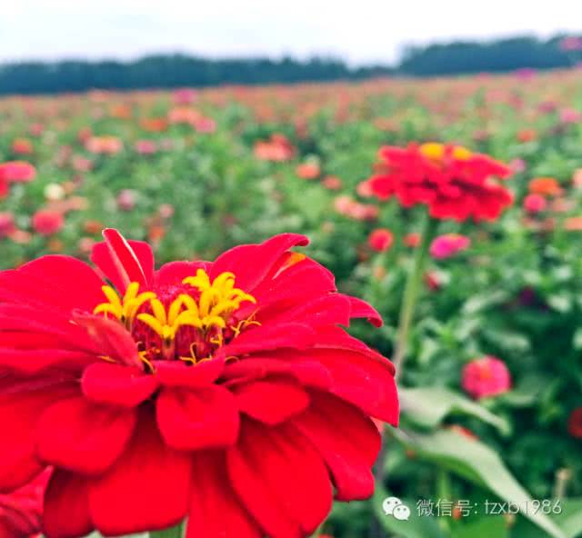 易水湖景点怎么样值得去吗,易水湖景区怎么样啊值得去吗