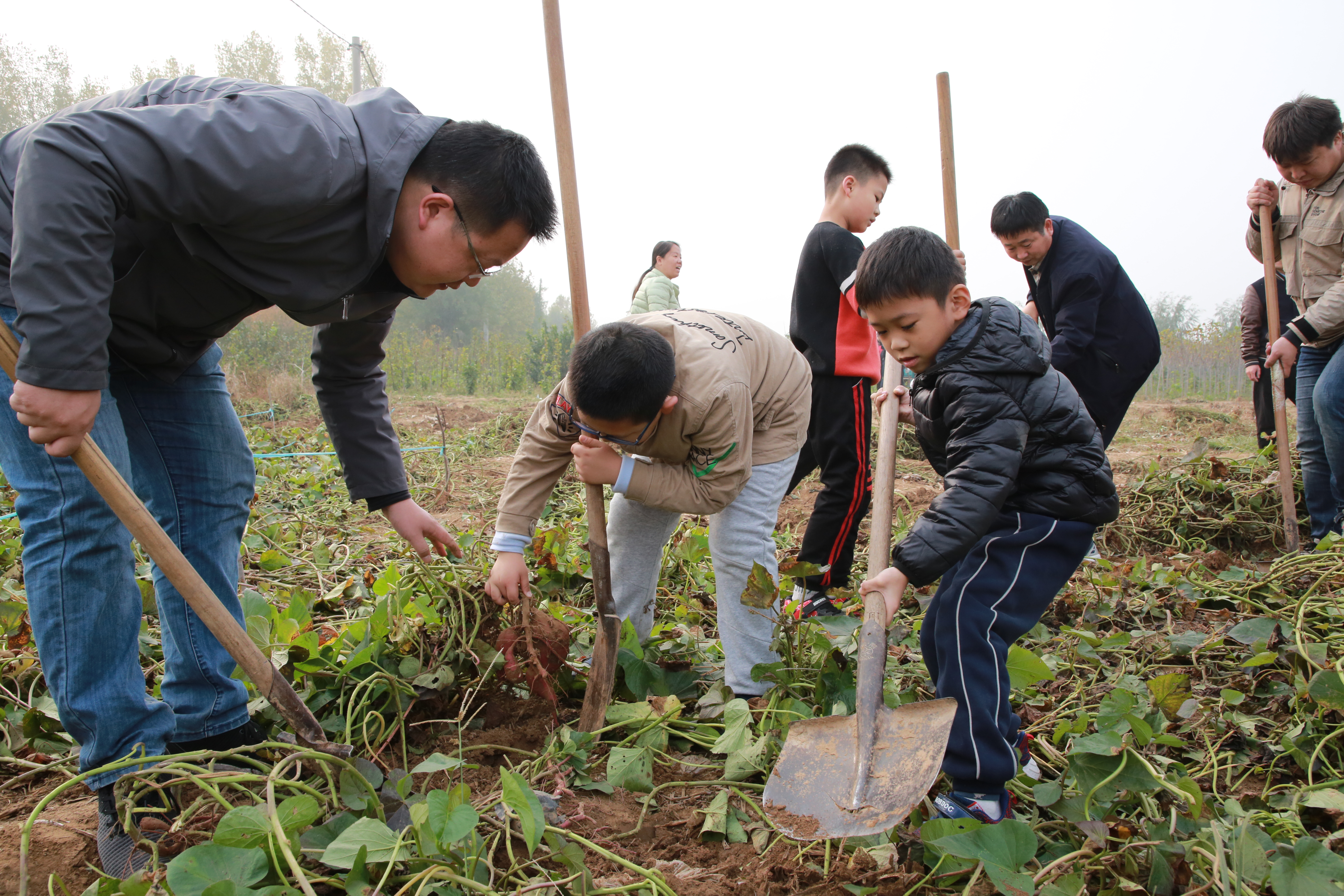 安阳市浩宇农庄,安阳市浩宇农庄怎么样