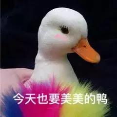 五一福利免费送衣服,五一免费送小礼物
