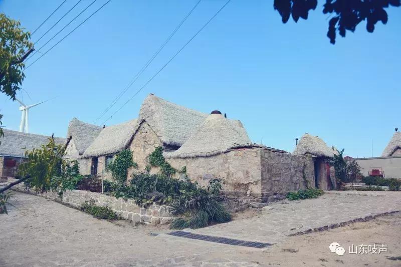 东楮岛海草房全景,东楮岛渔村海草房介绍