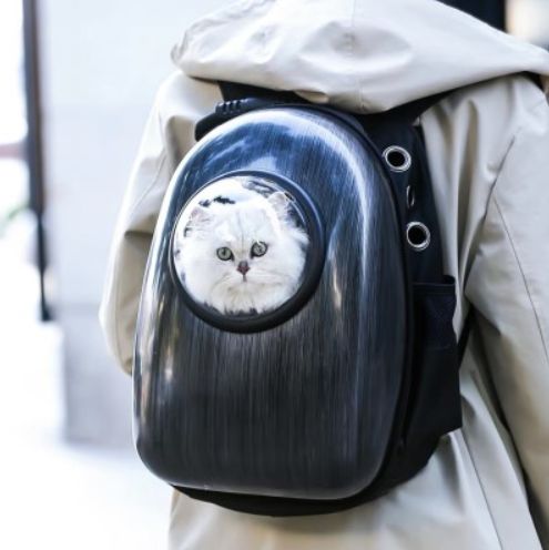 请描述中暑知识及中暑急救步骤,狗中暑能喂藿香正气水吗