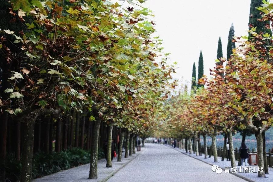 在古村落拍照怎么摆姿势好看,在古堰拍照姿势