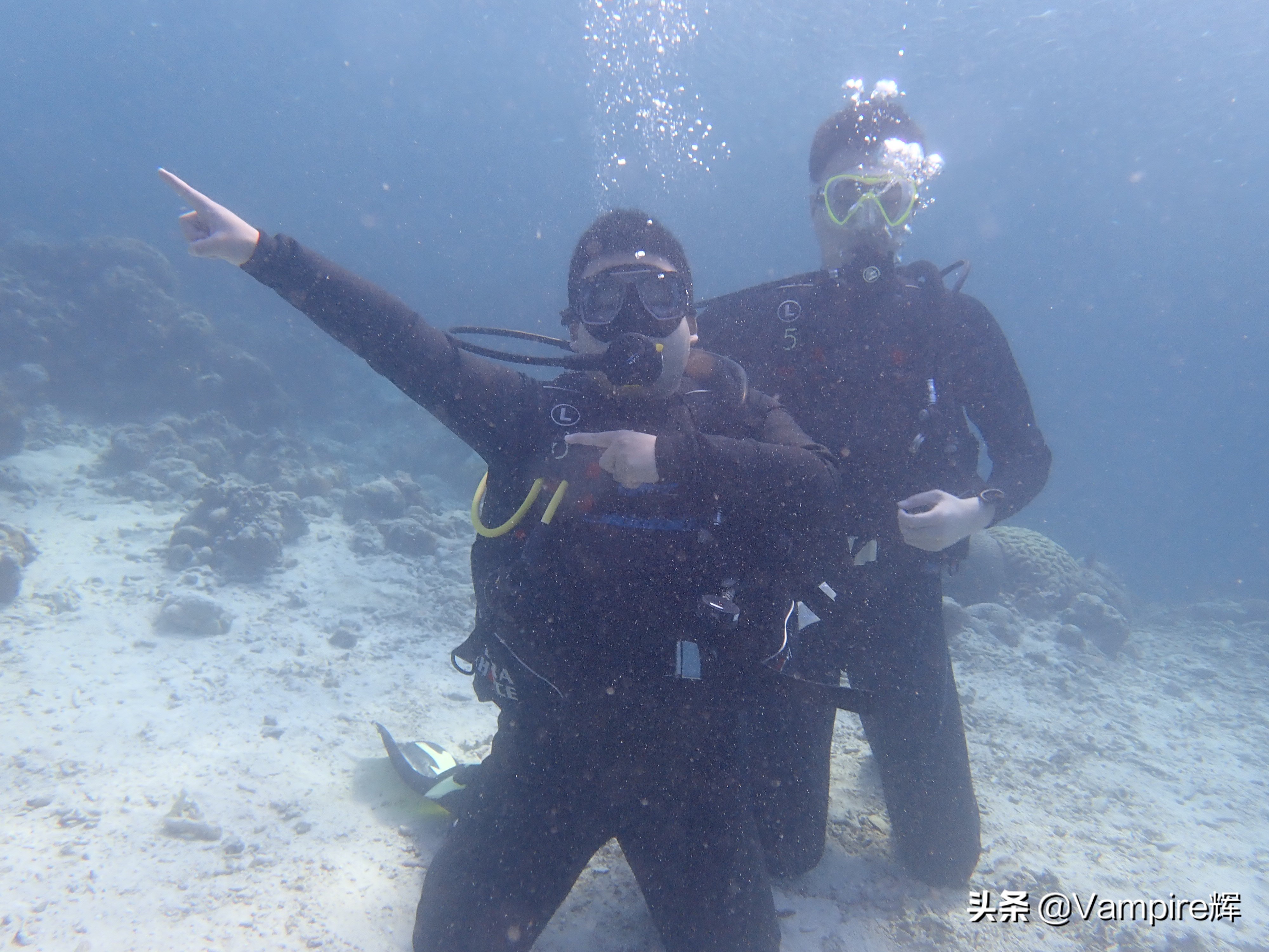 一起云旅游一日游,一起云旅行北极光