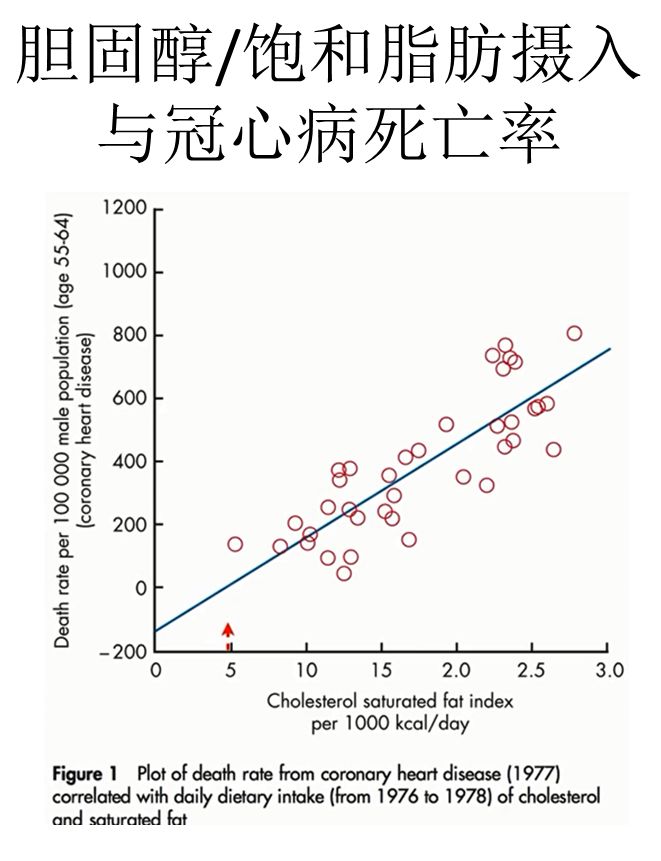 都说鸡蛋是发物是真的吗,鸡蛋怎样吃好消化易吸收营养好
