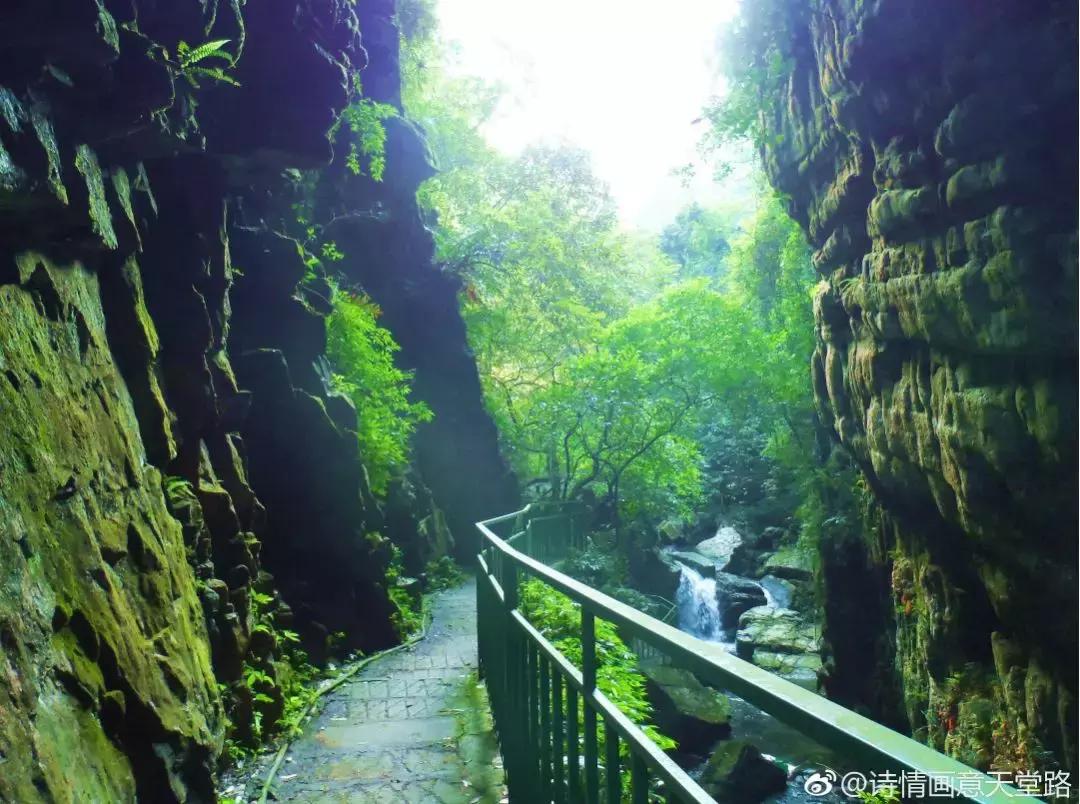 成都坐动车直达这片原始秘境！深幽峡谷、云海奇观、罕见古村…带你逃离夏天！