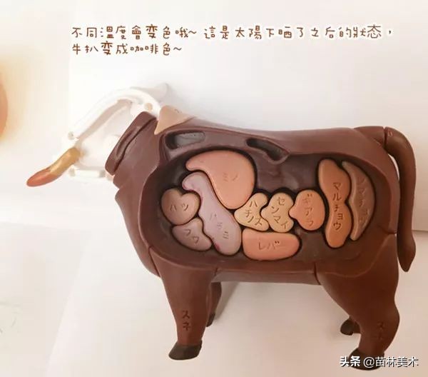 盘点这些益智玩具,外国最火的益智玩具