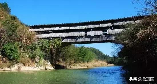 普通雪茄和高级雪茄,普通杉木和香杉木的区别