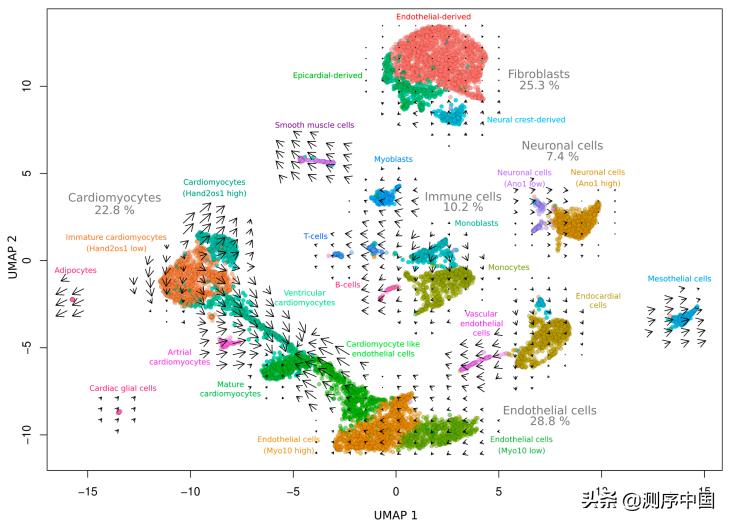 单细胞rna测序特点,纯干货分享阅读