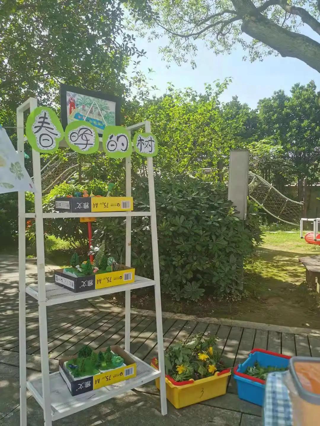 再见老春晖，我们要搬新家啦！「象山打听猫」