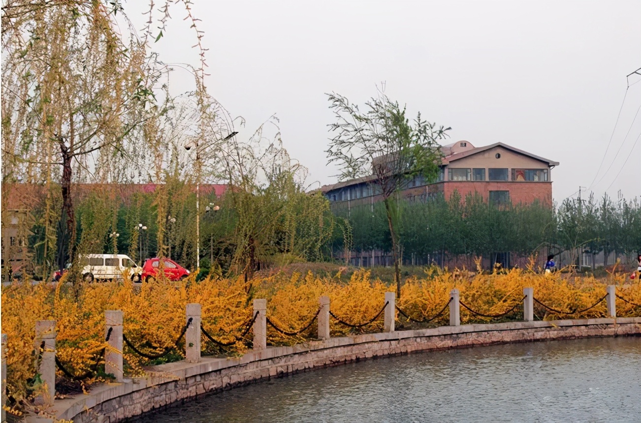 山东科技大学成人高等学历教育,山东科技职业学院招生简章2022