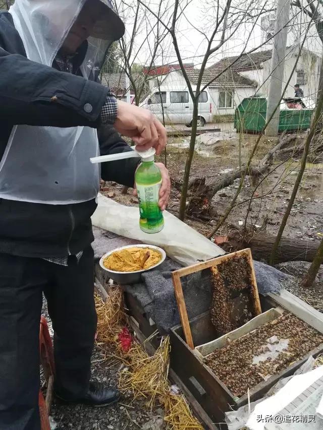 烂子病的症状和治疗方法,烂子病原因