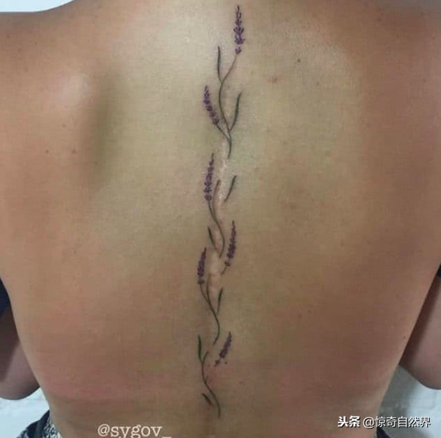 能遮盖疤痕的纹身,遮疤痕的纹身设计