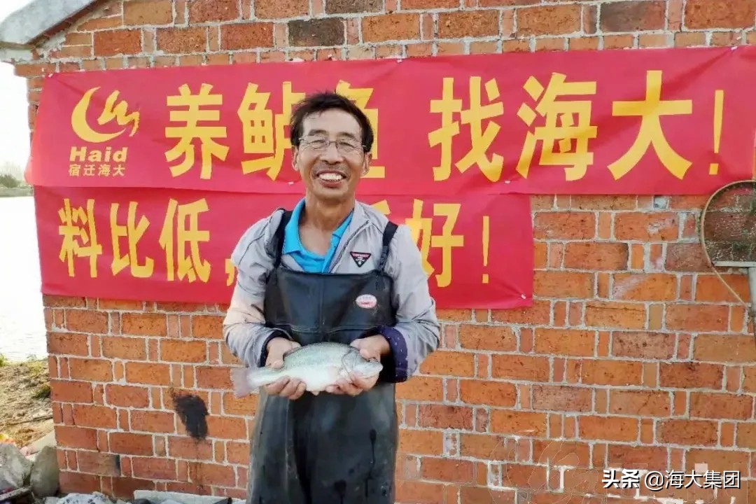 观赏鱼产业助力脱贫攻坚,养好一条鱼的重要性