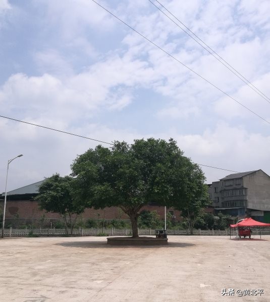 重庆市铜梁区侣俸镇二手房,重庆市铜梁区侣俸镇新复村
