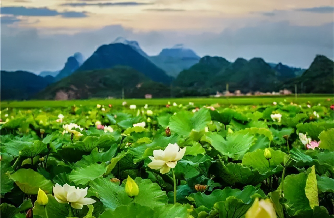 西安出发到云南跟团游推荐,6月西安到云南5天旅游攻略