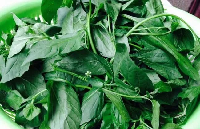 补肝肾强筋骨最好的方子,补肝肾强筋骨祛风湿功效的中药是