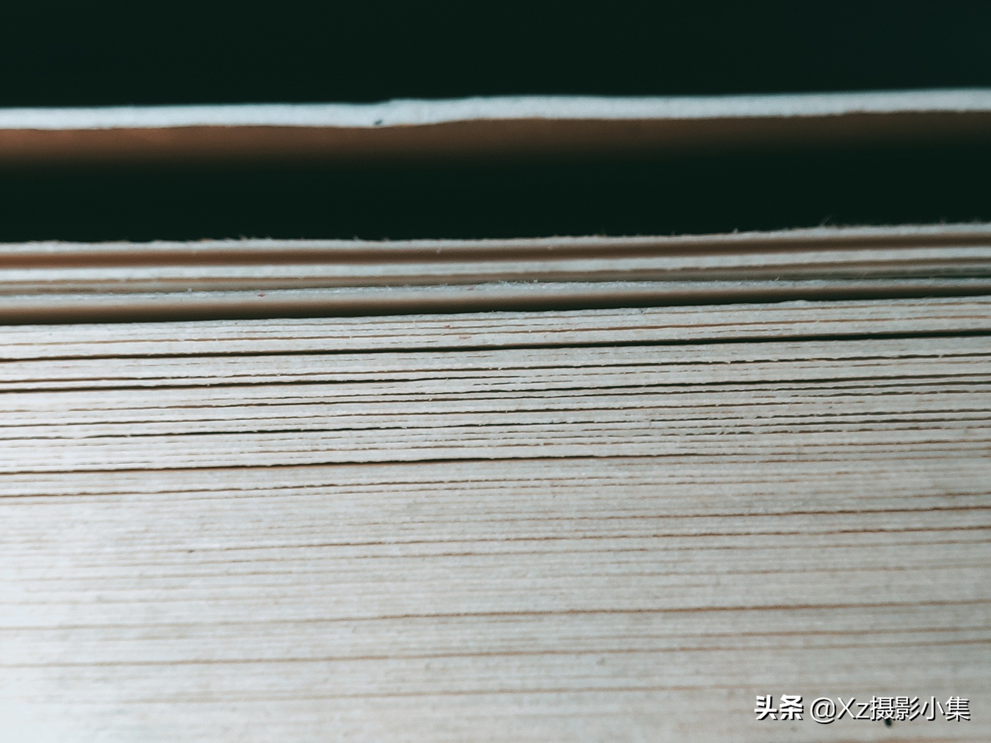 用手机拍微距效果最好方法,用手机拍摄不了微距怎么办