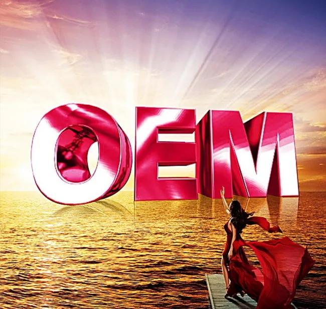 odmobmoem分别是什么意思,oemodmobm指的是什么模式