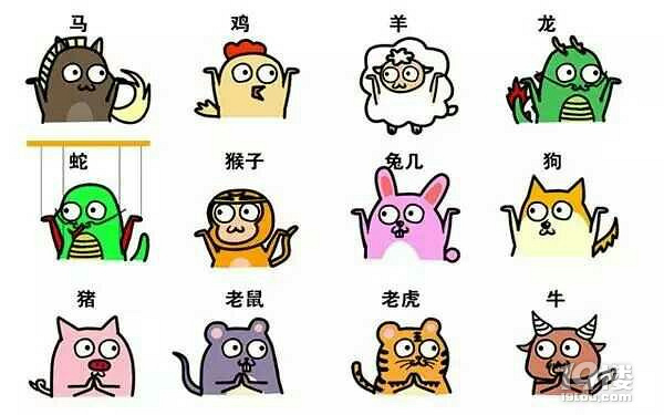 属鸡和属狗有没有共同的幸运数字,属鸡好还是属狗好