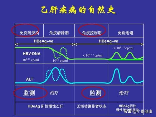 乙肝小三阳抗病毒标准及最佳时间,乙肝小三阳要关注哪些饮食