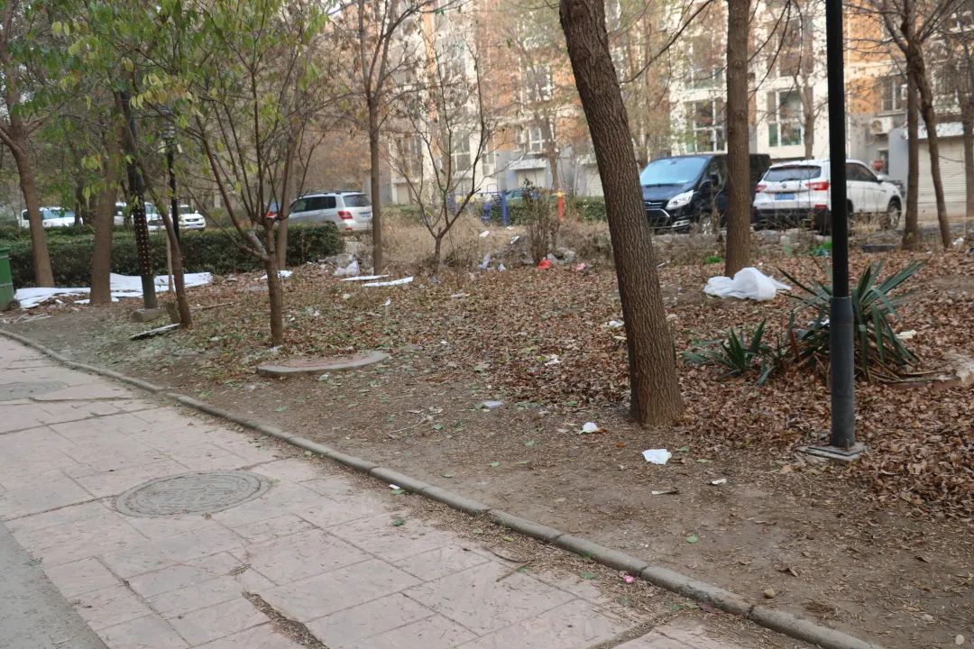 娉板崕鐗╀笟鐢熸椿鏈嶅姟,娉板崕鐗╀笟鏈嶅姟缇庣瘒