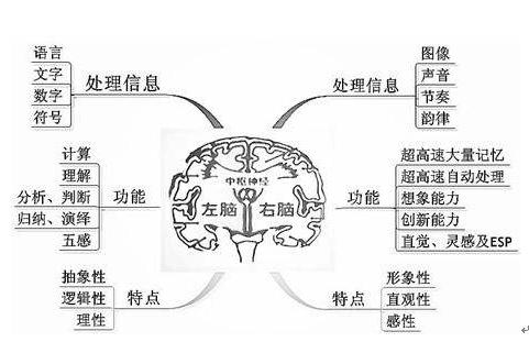 怎样做到过目不忘的记忆秘诀,如何培养过目不忘的记忆力