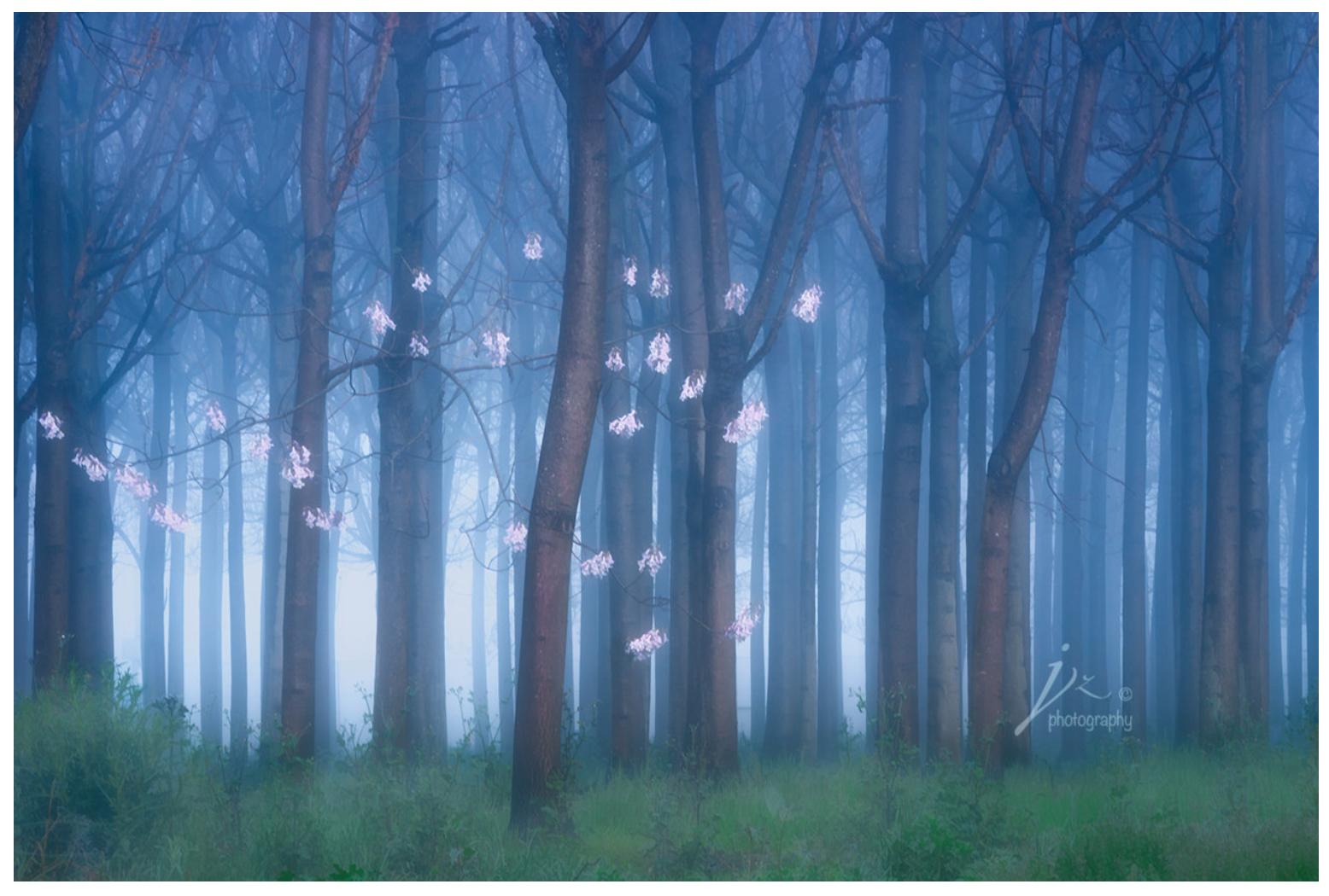 提高审美推荐十大自然风光摄影师,十大良心风光摄影师