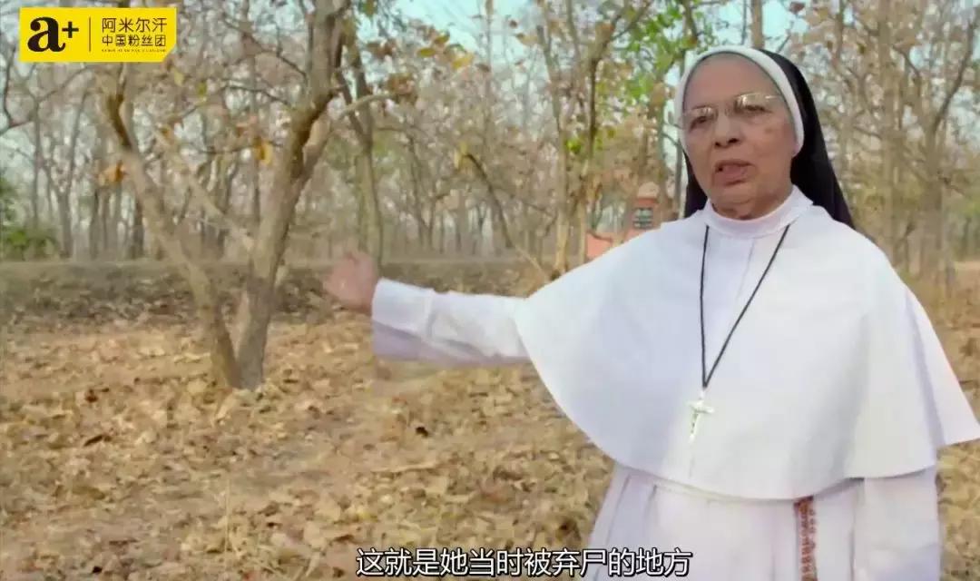 阿米尔汗经典合集,阿米尔汗五部神作
