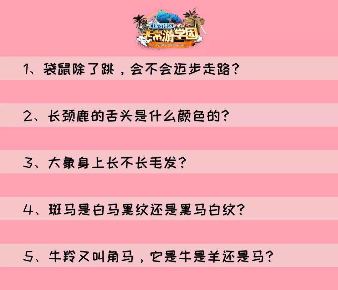 大熊猫相关知识,大熊猫百科知识详细介绍