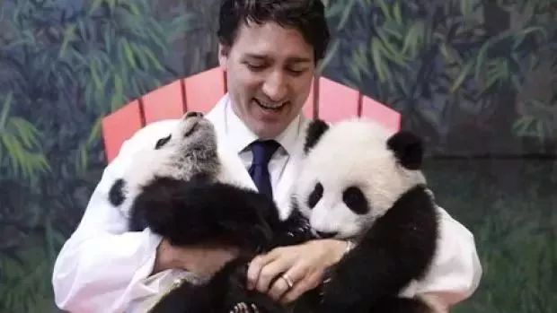 为什么全世界都喜欢大熊猫,世界各地的人们都爱好大熊猫英语
