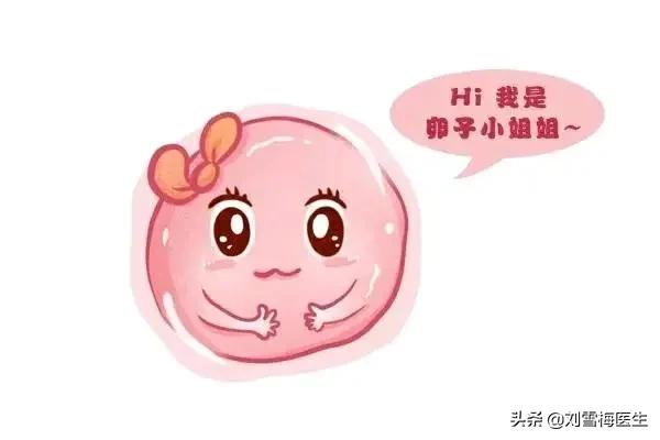 只需三步，养好一颗高质量的卵子