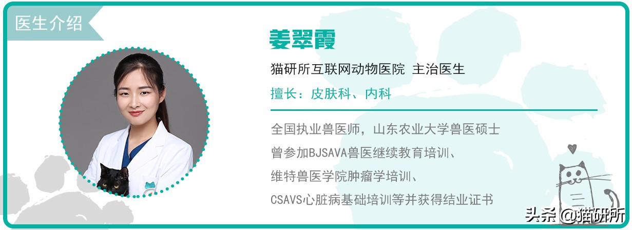 猫咪便秘快速通便10秒见效,怎么解决猫咪便秘
