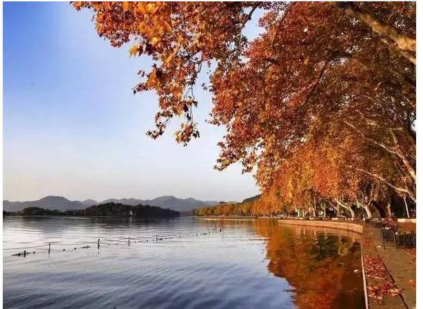 2019杭州春游,杭州踏青龙井村