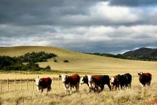 阿根廷衰落了吗,阿根廷成唯一一个三星球队