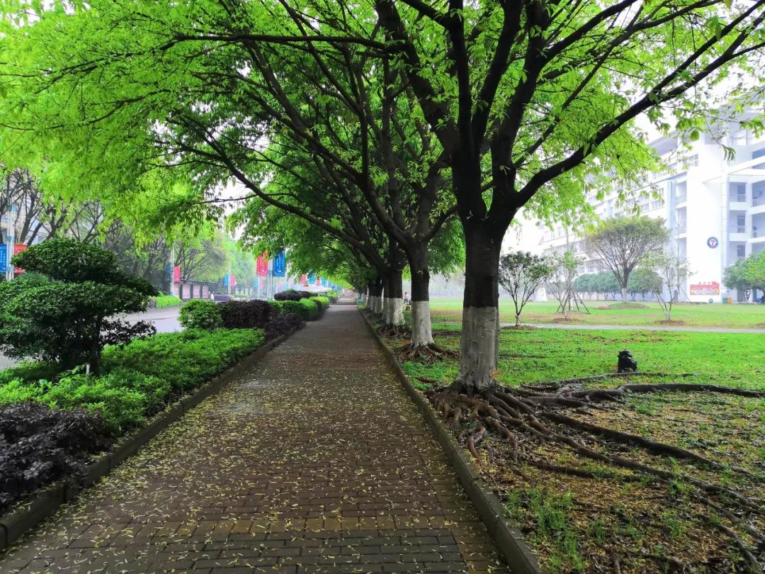 江西应用技术职业学院学前教育,江西应用技术职业学院王牌专业