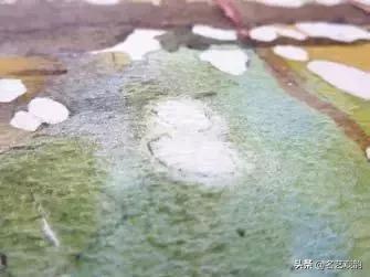 新手水彩入门教程涂色,水彩涂色本古风绘画过程