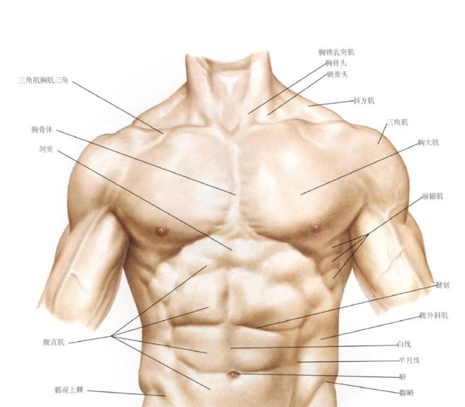 顽固性腰痛怎么治愈,困扰多年的腰疼问题终于搞清楚了