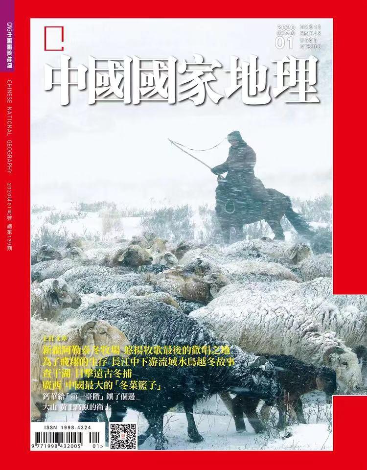 立春已过，宅着不如云赏花