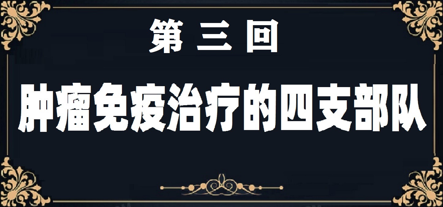 肿瘤免疫治疗的故事连载二十四,肿瘤免疫治疗的故事