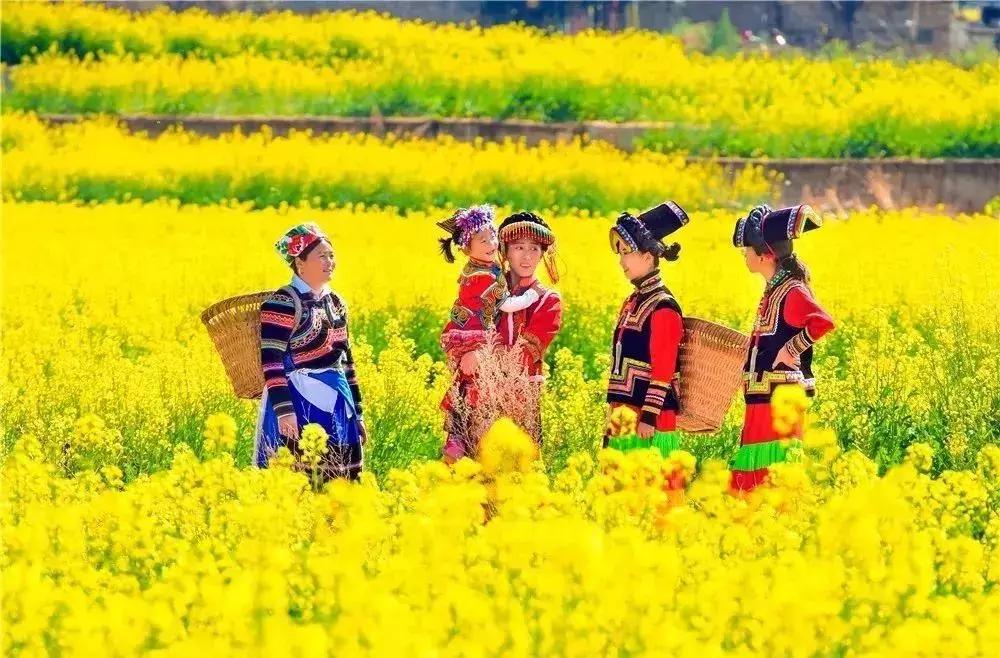 一路从南方到北方感受四季,成都最值得去的小城