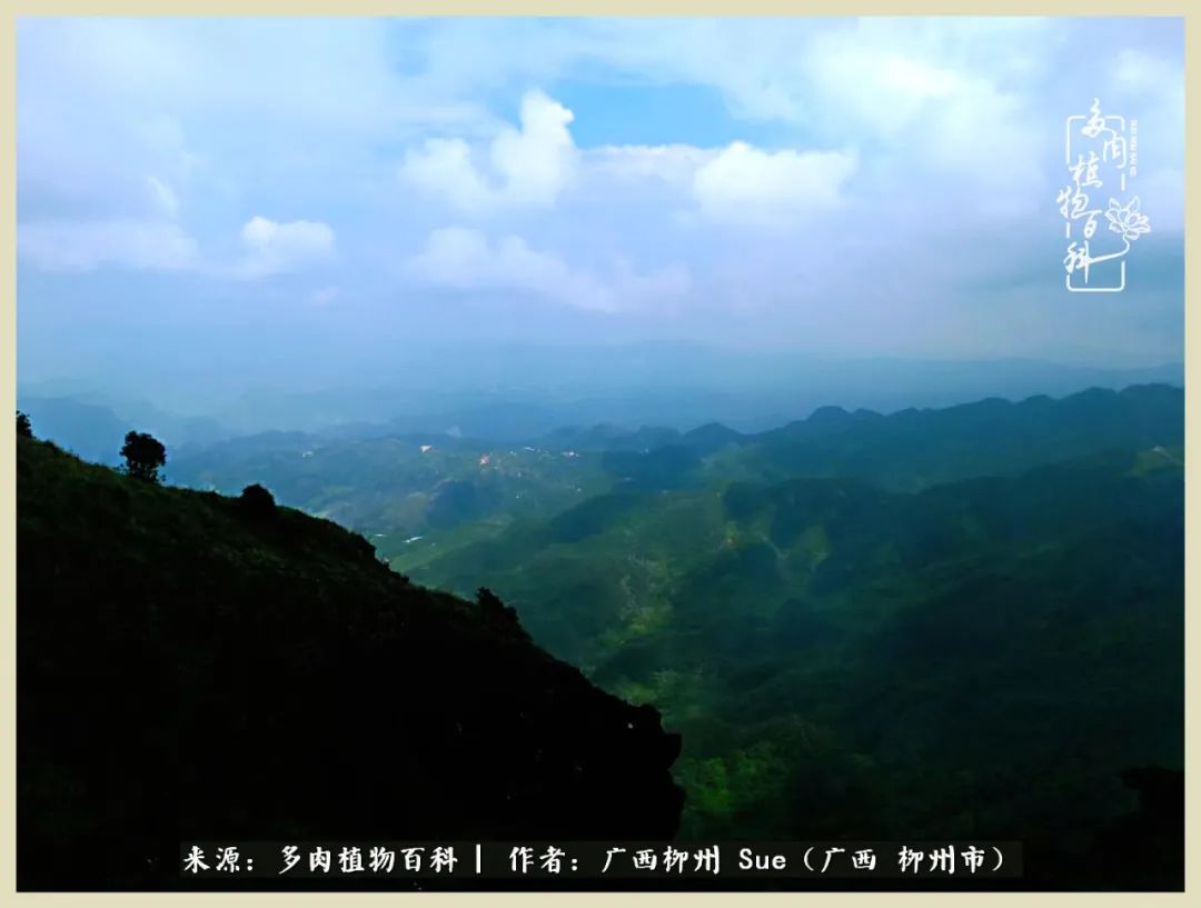 艳阳高照凉爽贵州，我要勤快地捕捉美好！（二）