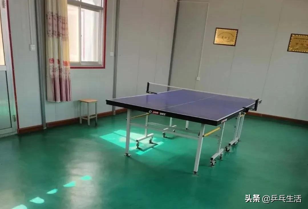 致敬我的球友：重球、重情、重义的颗粒老杨-乒乓生活作品展