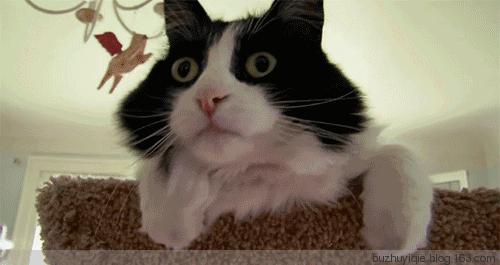 公公出轨婆婆闹得人尽皆知,公公出轨做媳妇的该不该管