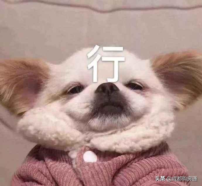 1.26万元/㎡起！总价136万买进五城区！明日起开始登记