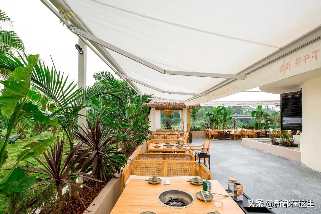 来成都新都公园走一走,新都才是最向往的生活