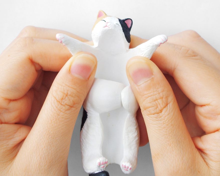 日本人又来骗猫奴们的钱啦！但我心甘情愿掏钱了！