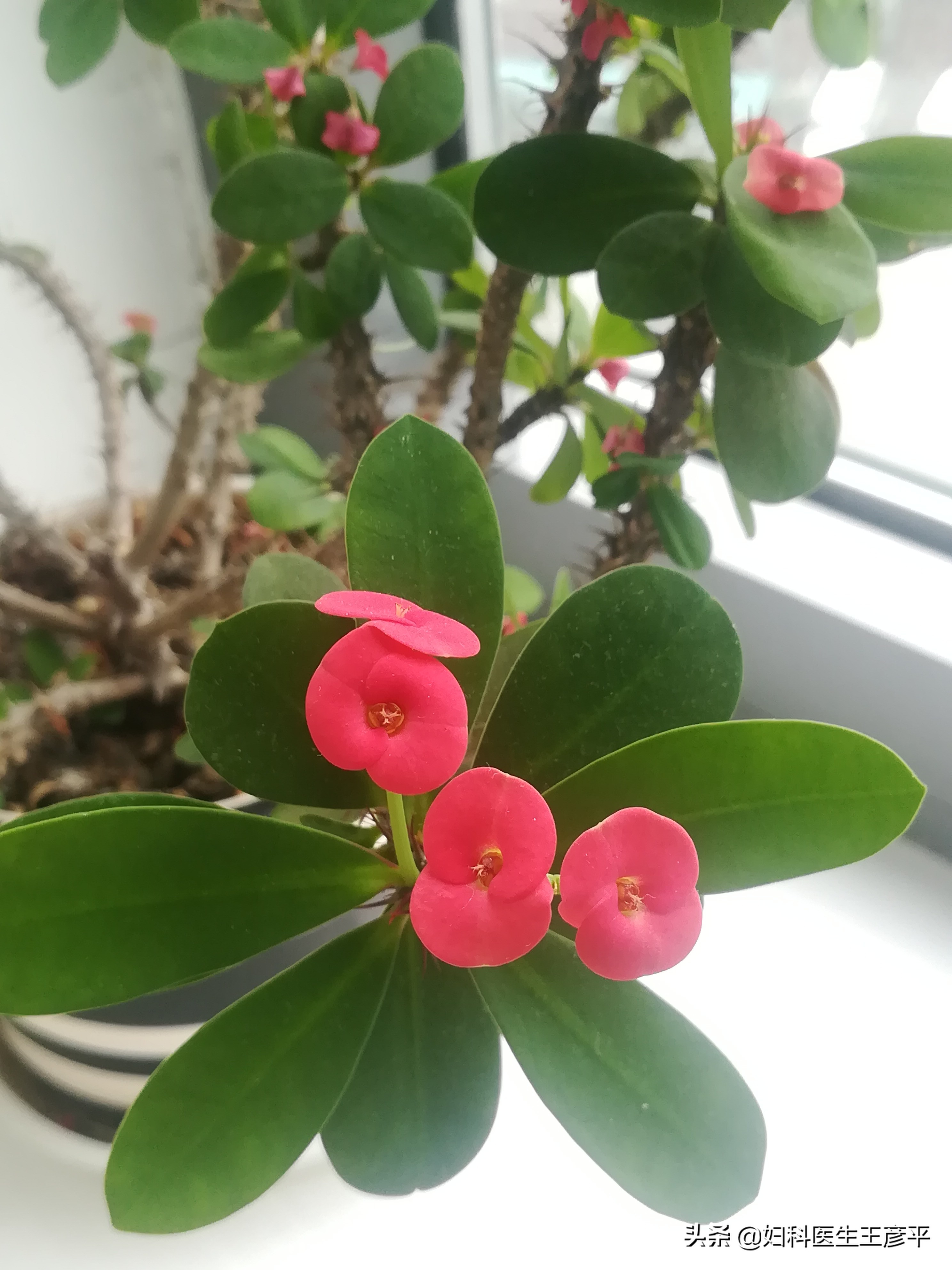 2022年做宫颈癌筛查大概多少钱,宫颈癌筛查一年半会得宫颈癌吗