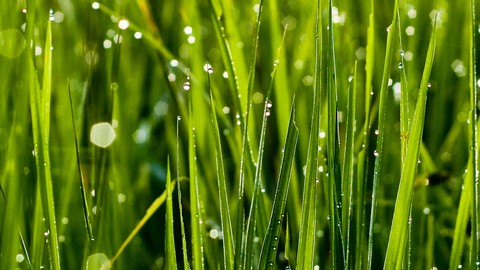 鬼魂复仇电影,鬼魂回来复仇